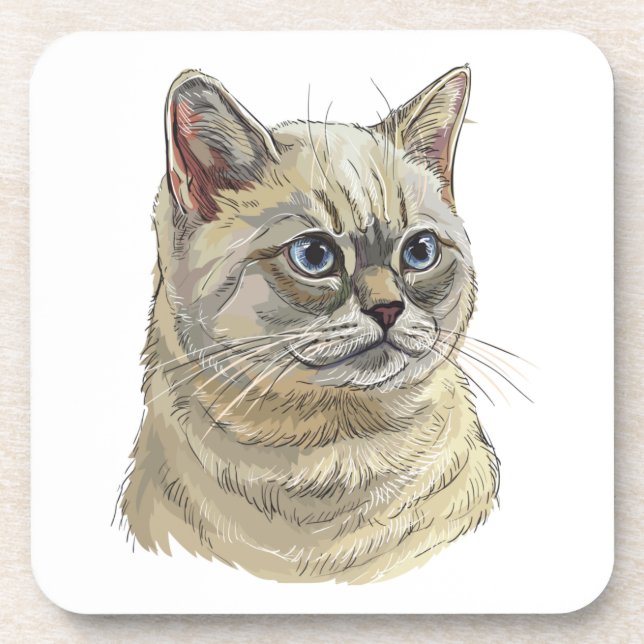 Hand zeichne lustige britische Katze Throw Kissen Getränkeuntersetzer (Vorderseite)