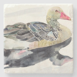 Hand zeichnen Watercolor-Vogel, Ente Steinuntersetzer