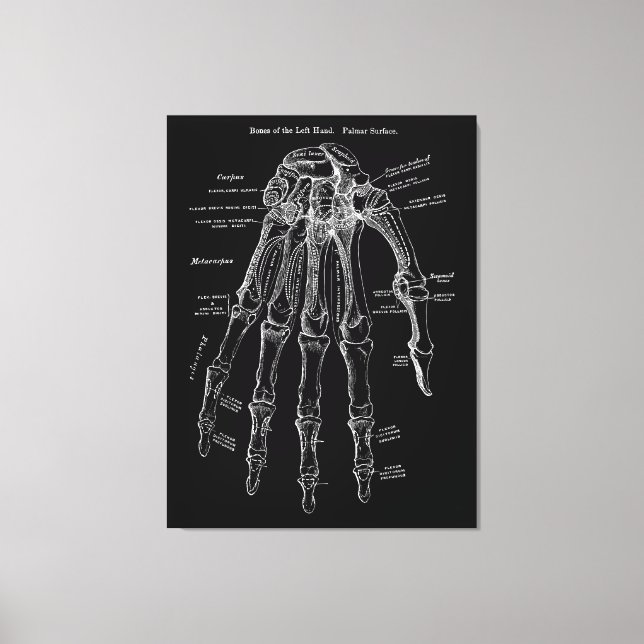 Handanatomie Große Leinwand Mauer Art 36x48" (Vorderseite)