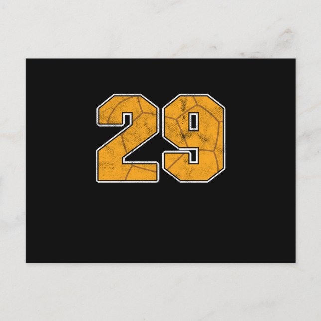 Handball 29. Geburtstagsfeier Sportgeschenk Postkarte (Vorderseite)