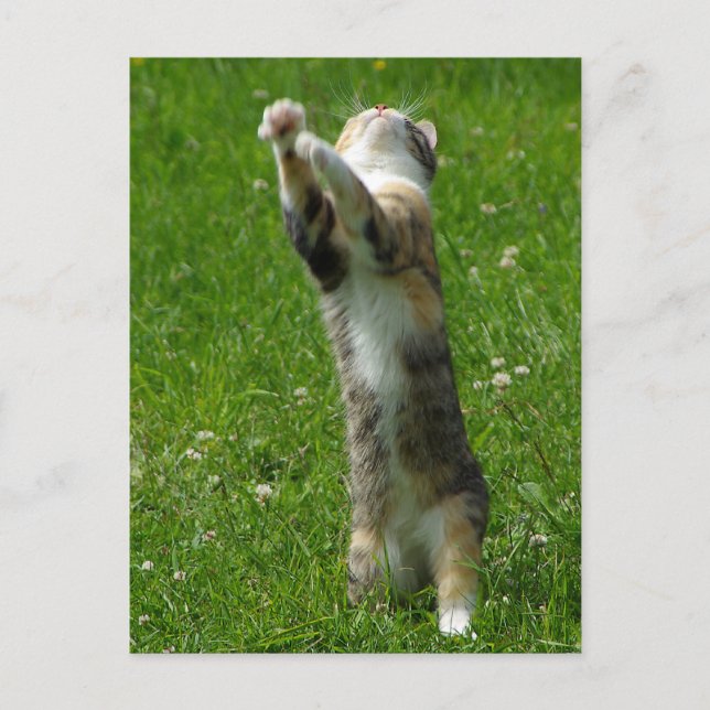 Händchen und Briefmarke Postkarte (Vorderseite)