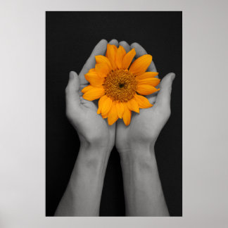 Händchen zur Sonnenblume Poster