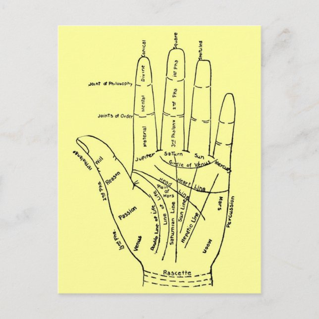 Handdiagramm Postkarte (Vorderseite)