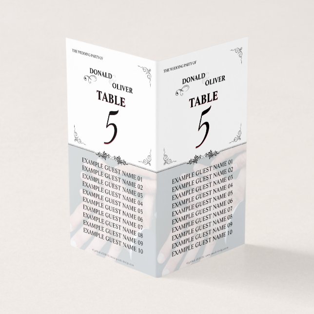 Hände eines homosexuellen Ehepaares mit Rings (Vorderseite)