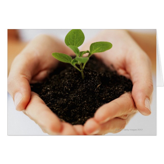 Hände mit Säulenhalterung (Vorderseite (Horizontal))