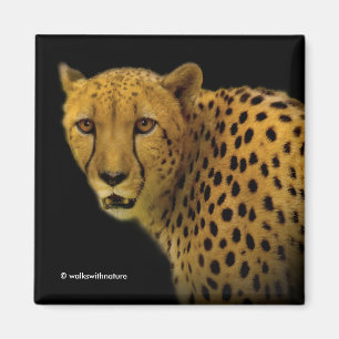 Handelsschauen mit einer prächtigen Geparden Magnet