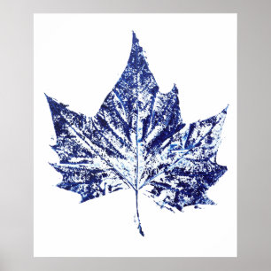 handgedruckte Pflanze, blau, ein Ahornblatt Poster