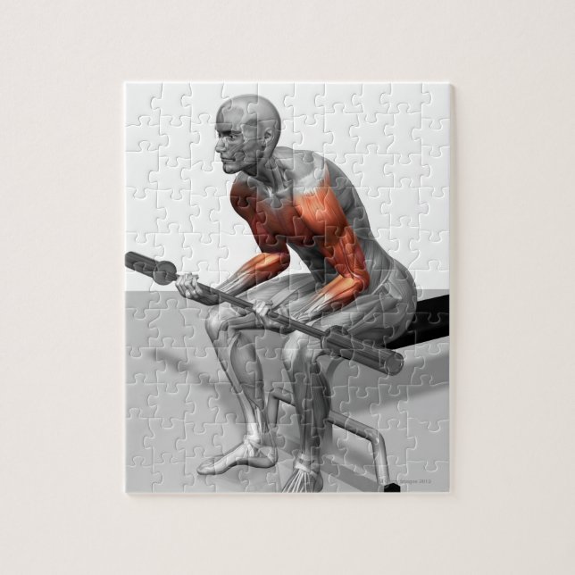 Handgelenke Puzzle (Vertikal)