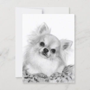 Handgemalt Chihuahua Artwork Postkarte