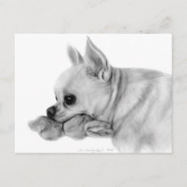 Handgemalt Chihuahua Bela mit Lieblingsspielzeug Postkarte