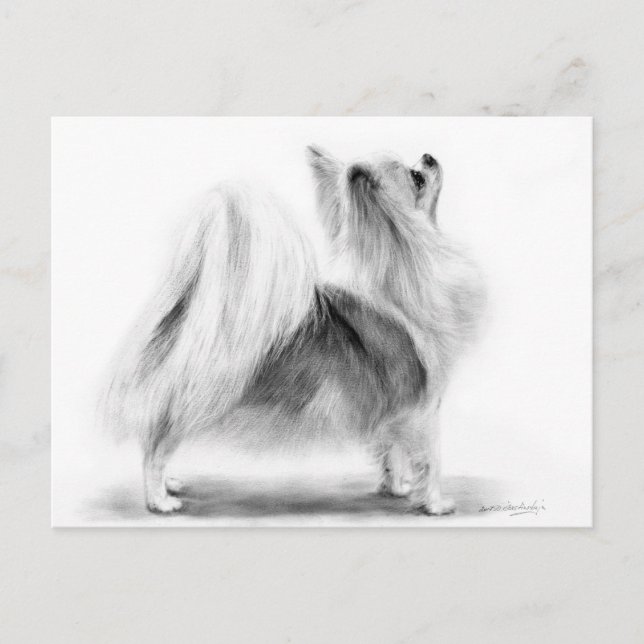 Handgemalt Elegant Long Haired Chihuahua Postkarte (Vorderseite)