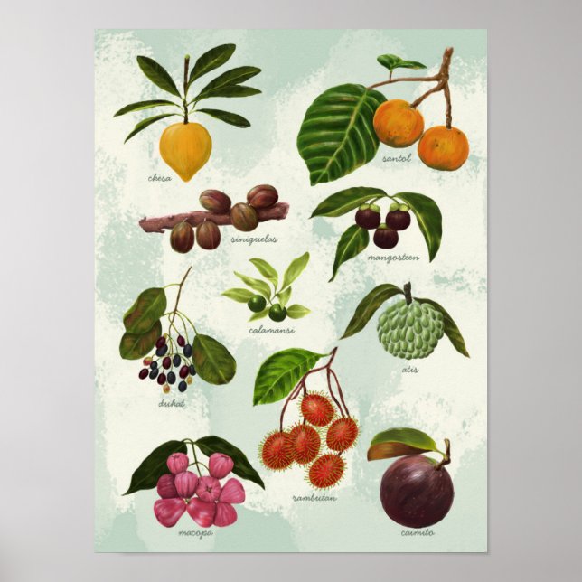 Handgemalt Exotic Filipino Tropical Fruits Poster (Vorne)