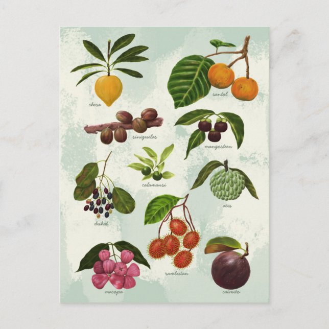 Handgemalt Exotic Filipino Tropical Fruits Postkarte (Vorderseite)