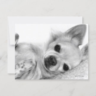 Handgemalt Relaxtes Chihuahua-Kunstwerk Postkarte