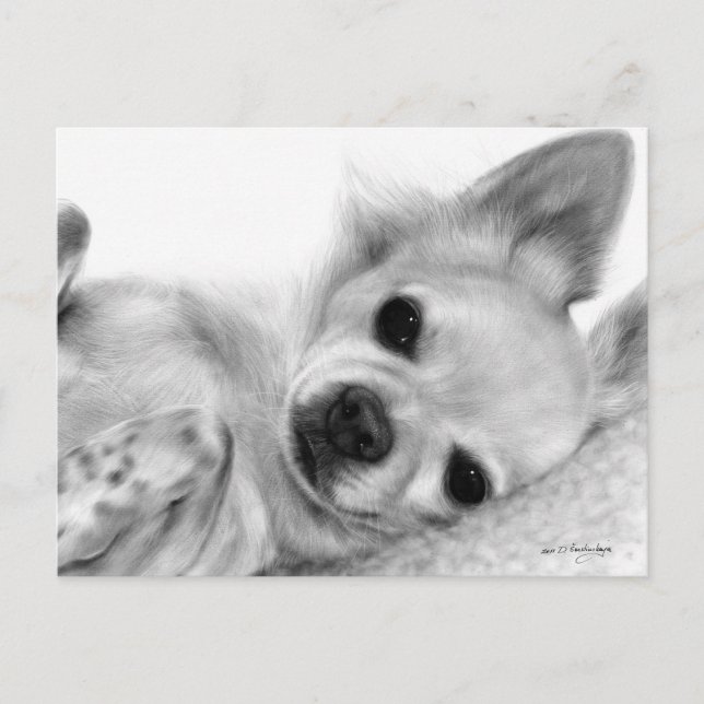 Handgemalt Relaxtes Chihuahua-Kunstwerk Postkarte (Vorderseite)