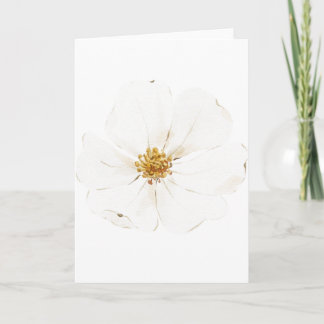 Handgemalt weißes Peony (Leere) Karte