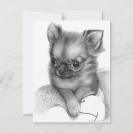 Handgemalte Chihuahua-Welpe - sanfter Blick Postkarte