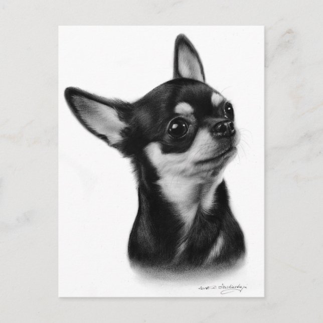 Handgemalte Kurze Chihuahua-Hundekunstwerke Postkarte (Vorderseite)