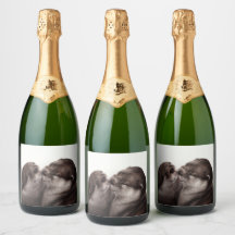 Handgemalte Otters - Zender Moment Wildlife Art