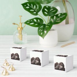 Handgemalte Otters - Zender Moment Wildlife Art Geschenkschachtel