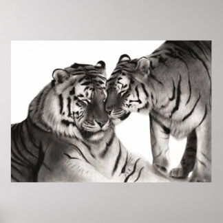 Handgemalte Tiger-Kunst - Wildtier-Wanddekoration Poster