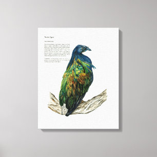 Handgemalte Vogeldrucke auf Leinwand