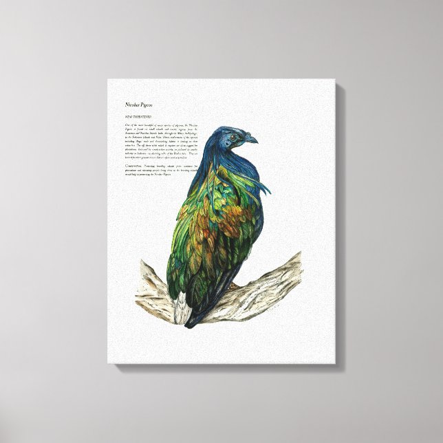 Handgemalte Vogeldrucke auf Leinwand (Vorderseite)