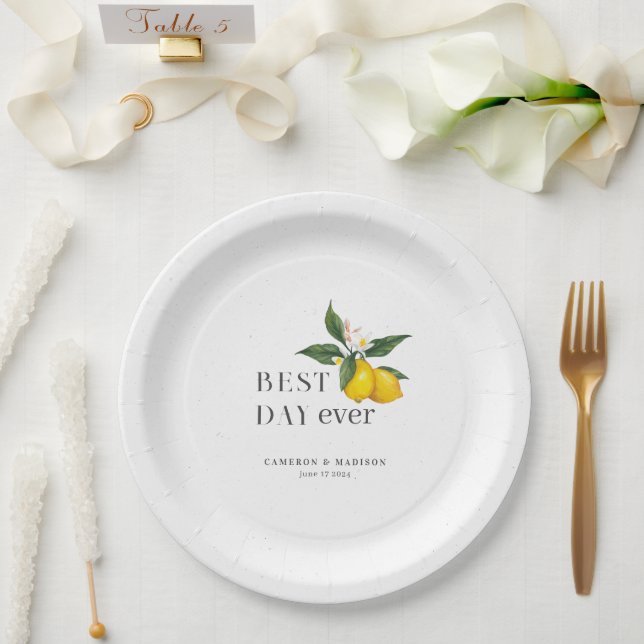 Handgemalte Zitronen mit Blume Hochzeit Pappteller (Hochzeit)