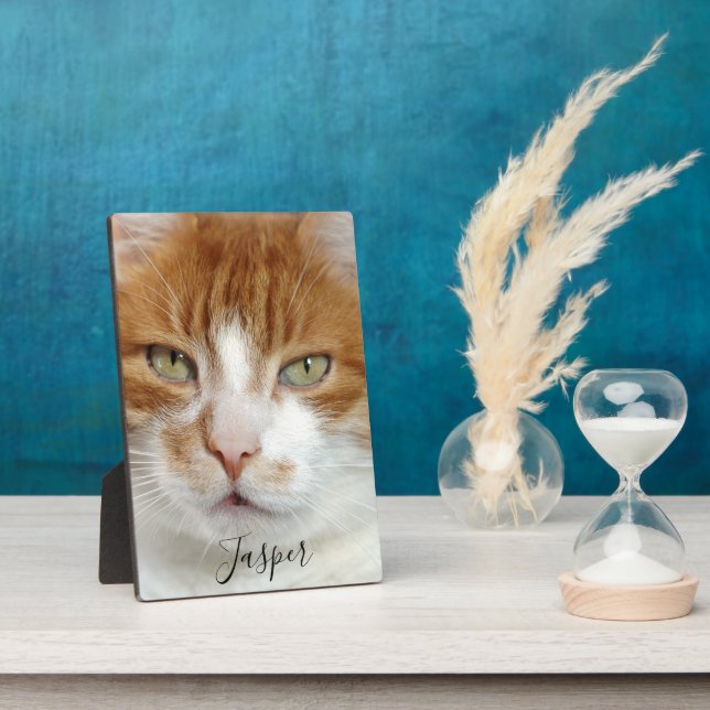 Handgeschriebenes Skript für Foto Fotoplatte (Seite)