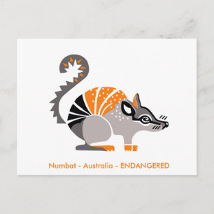 Handgezeichnet - NUMBAT - Marsupial - Australien Postkarte