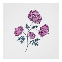HandGezeichnet Rosa Blossom, eleganter Botanischer