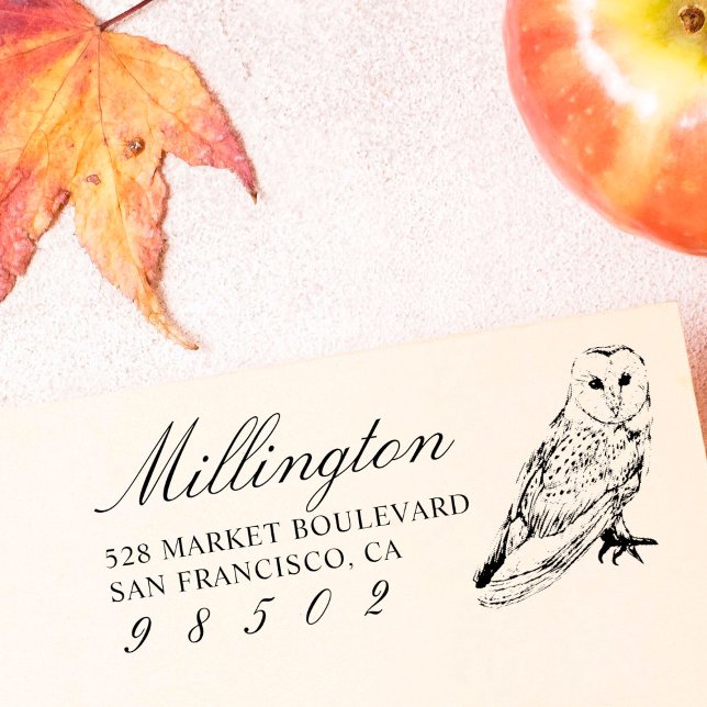 Handgezeichnet Rücksendeadresse für Owl-Familie Gummistempel (Von Creator hochgeladen)