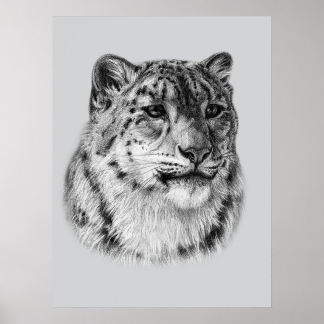 HandGezeichnet Snow Leopard Poster (Vorne)