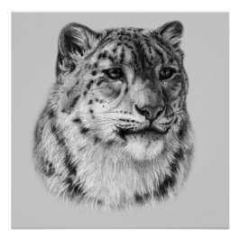 HandGezeichnet Snow Leopard Poster