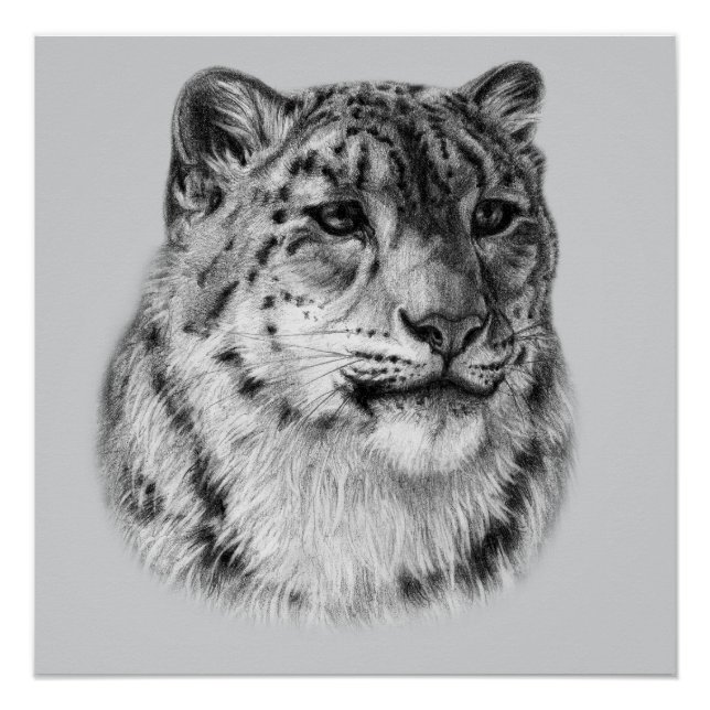 HandGezeichnet Snow Leopard Poster (Vorderseite)