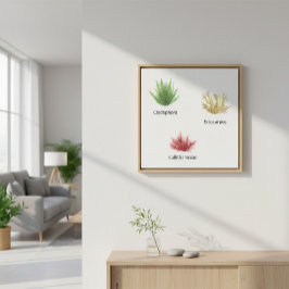 Handgezeichnete Cladophora, Ektocarpus Seetang Leinwanddruck