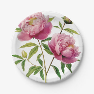 Handgezeichnete hübsche rosa Pfingstrosen zum redu Pappteller