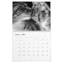 Handgezeichnete Katzen Wildtiere und Haustiere Kalender