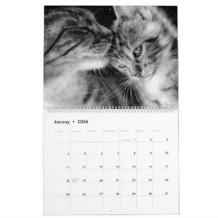 Handgezeichnete Katzen Wildtiere und Haustiere Kalender