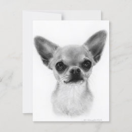Handgezeichnete Kurz haarige Chihuahua - Gentle Ex Postkarte