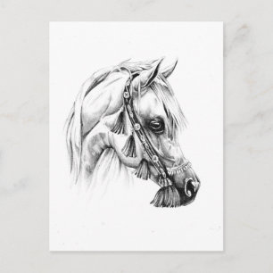 Handgezeichnete Pferdeskizze Kunst handgemacht Postkarte