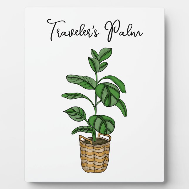 Handgezeichnete Reisenpalme Fotoplatte (Vorderseite)
