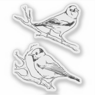 Handgezeichnete Vögel schwarz und weiß Moderne Nat Aufkleber