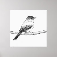 Handgezeichnete Vogeldarstellung