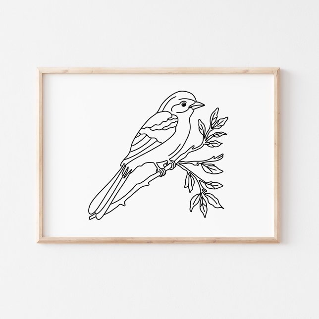 Handgezeichnete Vogelillustrationskunst Poster (Von Creator hochgeladen)