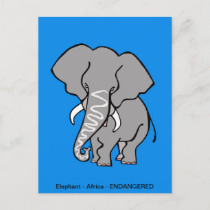 Handgezeichneter afrikanischer ELEPHANT-Schutz — b Postkarte