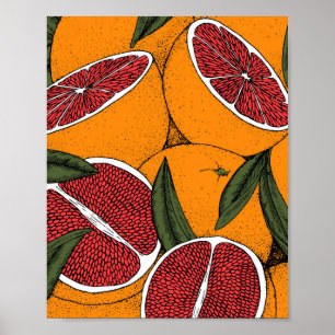 Handgezeichneter Druck mit Grapefruits Poster