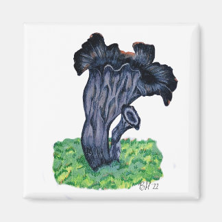 Handgezeichneter schwarzer Trompetenpilz Magnet