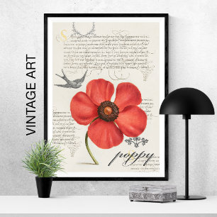 Handgezeichneter Vintage-Roter Mohn 🌸 Schwalbensc Poster
