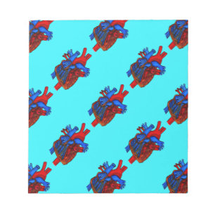 Handgezeichnetes Aqua Anatomisches Herz Notizblock